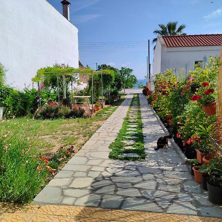 Annas House Daire Psakoudia Dış mekan fotoğraf